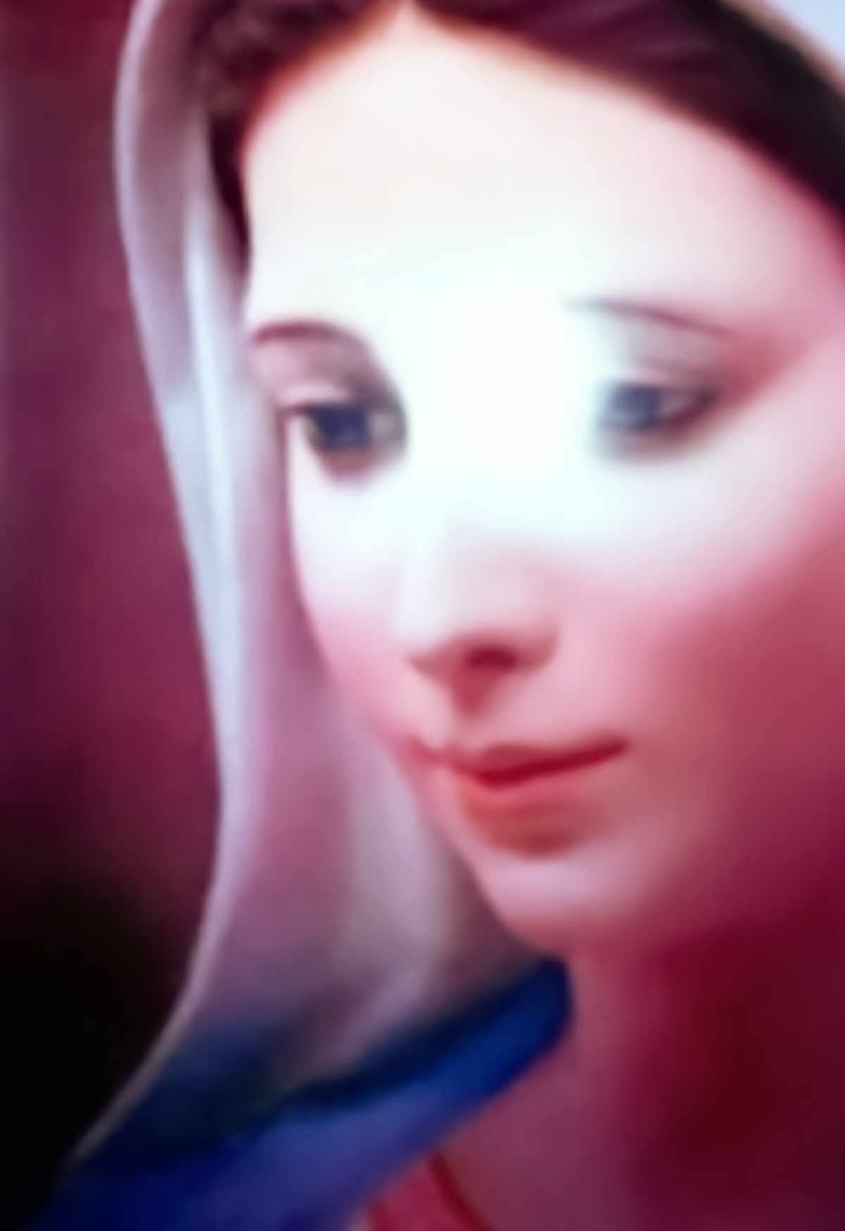 The Face of Love of Our Lady